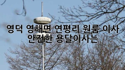 영덕 영해면 연평리 원룸 이사, 안전한 용달이사는?