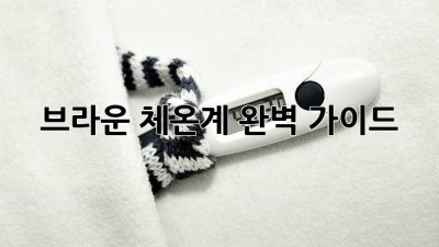 브라운 체온계 완벽 가이드