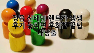 🚗 정읍 신태인 렌트카 생생 후기! 놓치면 후회할 꿀팁 대방출 🍯